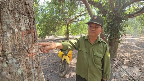 Ăn cơm nhà đi gác rừng tự nguyện