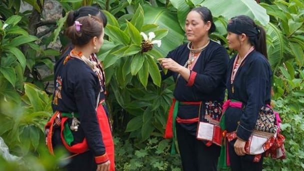 Hà Nội chăm lo mọi mặt đời sống đồng bào dân tộc thiểu số