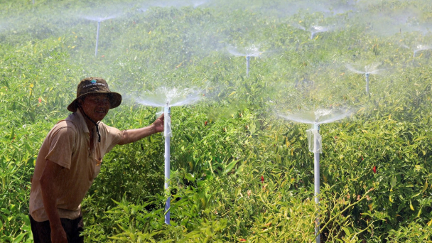 Sống chung với khô hạn: [Bài 2] Tưới tiên tiến giảm áp lực nguồn nước