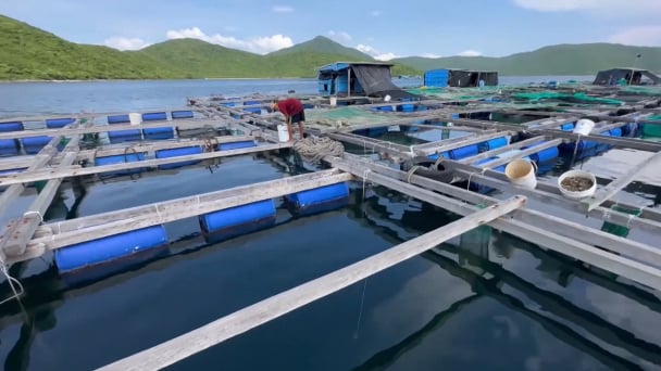 Nâng cao ý thức bảo vệ môi trường vùng nuôi trồng thủy sản: [Bài 2] Mỗi hộ dân là một tuyên truyền viên