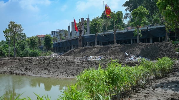 Vụ 'băm nát' hành lang thoát lũ sông Hồng: Làm rõ trách nhiệm của chính quyền cấp cơ sở