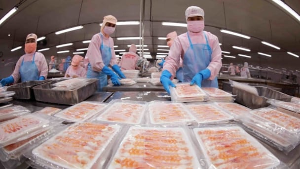 U.S. tariffs on imported seafood, Vietnam adapts flexibly to maintain market share