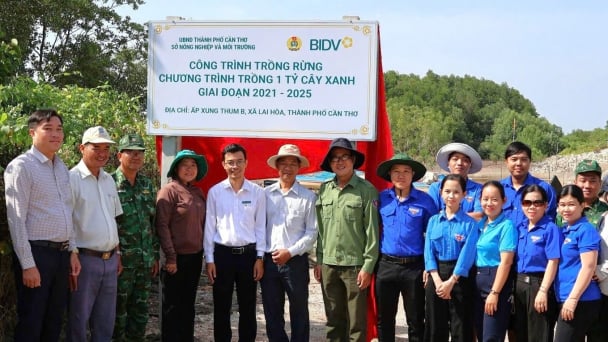 Cần Thơ trồng mới gần 2 ha rừng ngập mặn bảo vệ bờ biển