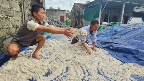 Cát trắng như gạo