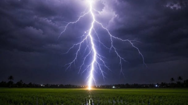 Người phụ nữ tử vong sau tiếng sét khi đang làm đồng