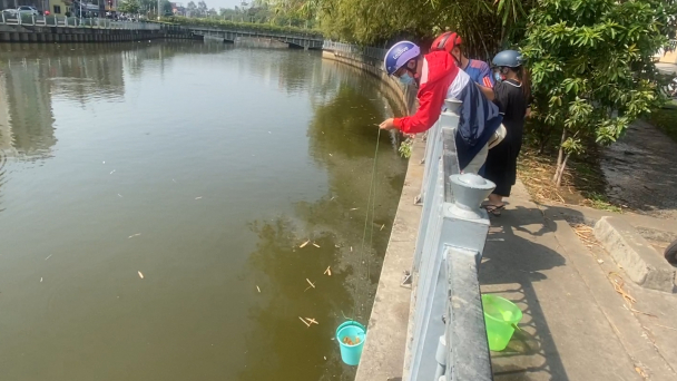 Người dân TP.HCM dùng dây thả cá phóng sinh ngày cúng ông Táo