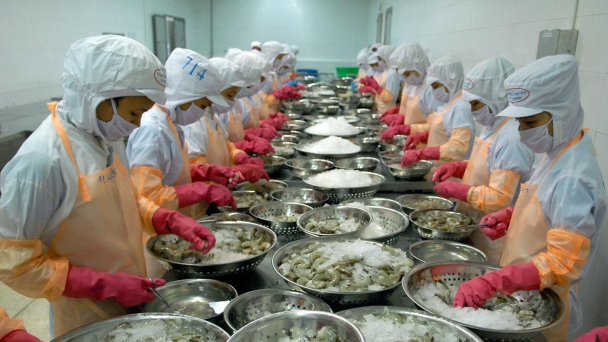 Ngành tôm Việt Nam hướng đến kim ngạch xuất khẩu 4 tỷ USD