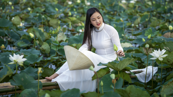 Tinh khôi mùa sen trắng