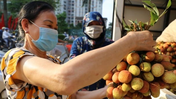 Hỗ trợ tiêu thụ nông sản Bắc Giang