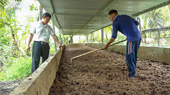 Trang trại 14ha nuôi trùn quế lớn nhất ĐBSCL