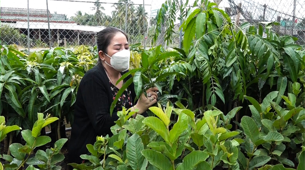 Cơ sở bán cây giống hoạt động trở lại sau giãn cách xã hội