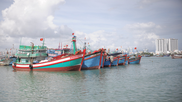 Giá dầu tăng cao, ngư dân sợ thua lỗ