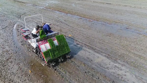 VnSAT thúc đẩy tiến độ thực hiện kế hoạch năm 2022