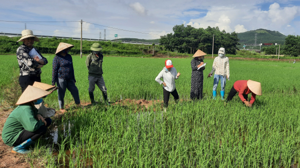 Đảm bảo nước tưới gần 10.000ha đất sản xuất nông nghiệp ở Đông Triều