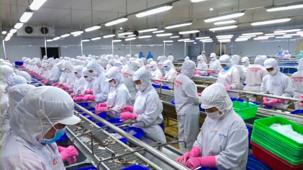 Xuất khẩu thủy sản vào Trung Quốc cần nắm rõ Lệnh 248, 249