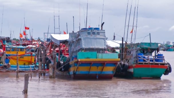 Thiếu nhiên liệu, hàng trăm tàu cá nằm la liệt