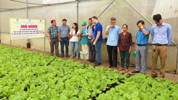Liên kết hỗ trợ nông dân sản xuất rau quả an toàn