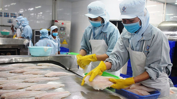 Xuất khẩu cá tra ảnh hưởng do lạm phát ở châu Âu, Mỹ