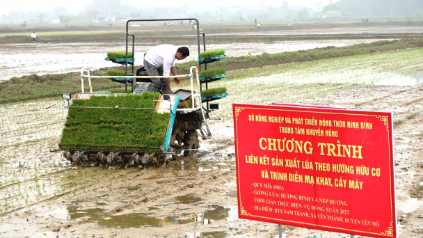 Ninh Bình đẩy mạnh mạ khay, cấy máy trong sản xuất lúa