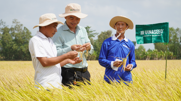 Vinaseed khép kín chuỗi giá trị lúa gạo, an toàn ‘đồng ruộng đến bàn ăn’