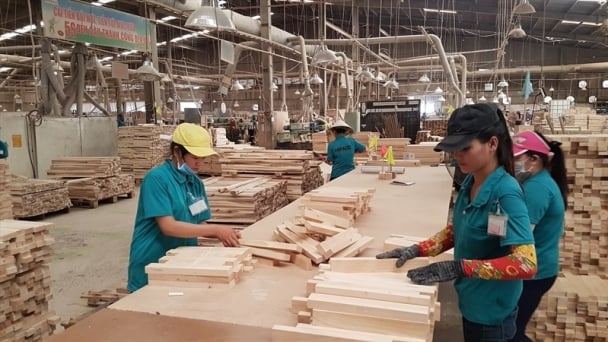 Chuyển đổi xanh trong ngành hàng 15 tỷ USD