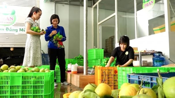 Cần Thơ kích cầu tiêu dùng hè 2023