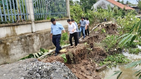 Sạt lở lớn ven sông Phú An đe dọa 170ha sầu riêng