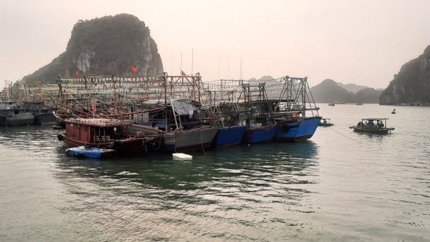 Gỡ thẻ vàng IUU: Ý thức người dân là yếu tố quan trọng