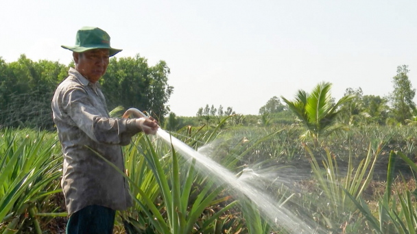 Huy động 25 tỷ đồng bảo vệ 20.000 ha đất nông nghiệp bị mặn xâm nhập
