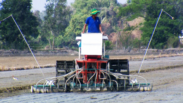 Triển khai 5 điểm trồng lúa chất lượng cao phát thải thấp