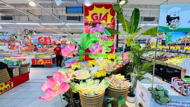 Đồng Tháp khẳng định chất lượng từ 56 sản phẩm OCOP làm từ sen
