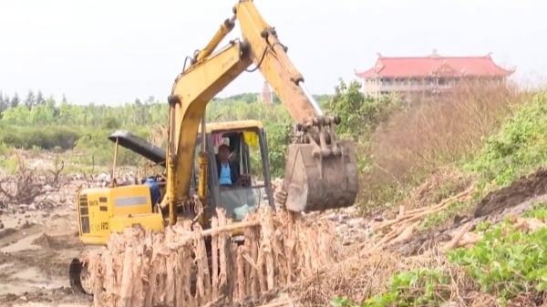 Bảo vệ đê biển Tây trước mùa mưa bão