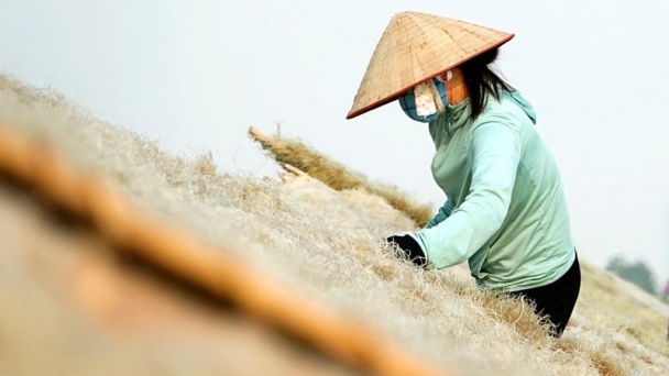 Miến dong làng So rộn ràng vụ Tết