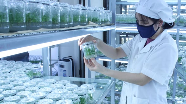 Nghị quyết 57: Luồng sinh khí mới cho khoa học công nghệ