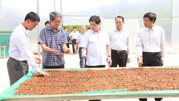 Các tiểu Dự án VnSAT tại Đăk Nông đều hoàn thành trước thời hạn