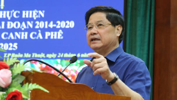 Chương trình tái canh cà phê thành công ngoài mong đợi