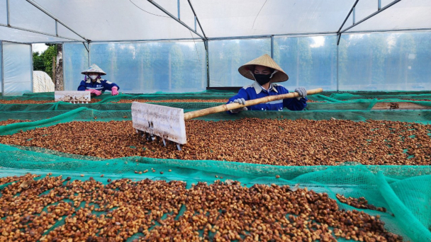 Tây Nguyên chiếm chưa đầy 1% tổng kim ngạch xuất nhập khẩu của cả nước
