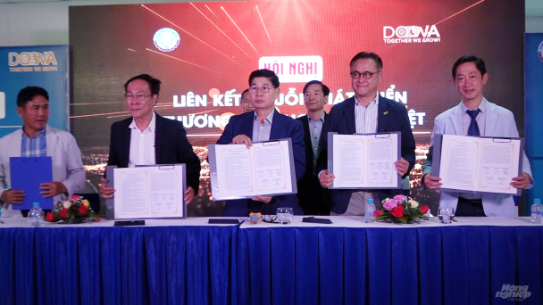 Liên kết chuỗi phát triển thương hiệu ngành gỗ Việt