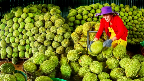 Đồng Nai tích cực vận động nông dân phát triển kinh tế tập thể