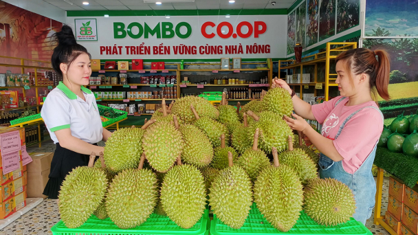 Tập trung nguồn nông sản, thực phẩm phục vụ Tết