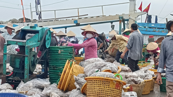 Gấp rút triển khai kế hoạch đón Đoàn thanh tra EC về IUU