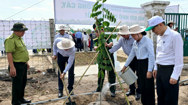 Đồng Nai trồng được 13 triệu cây xanh, nhiều nhất Đông Nam bộ