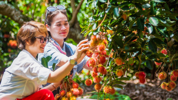 Nhà vườn liên kết làm du lịch nâng giá trị nông sản