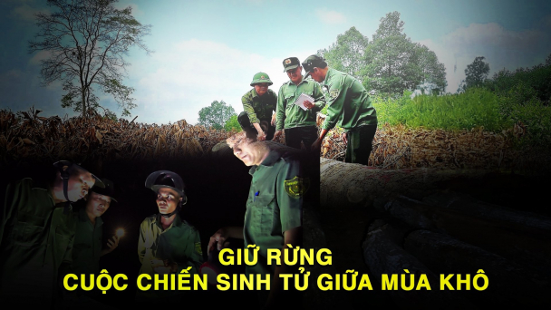 Giữ rừng - cuộc chiến sinh tử giữa mùa khô