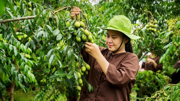 Đồng Nai triển khai Đề án bảo vệ quyền lợi người tiêu dùng