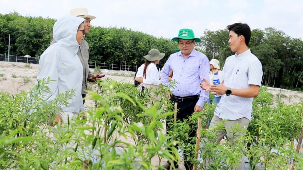Hợp tác IAS – Rithy Group:[Bài 1] Mở đường đi cho ngành giống lúa Campuchia