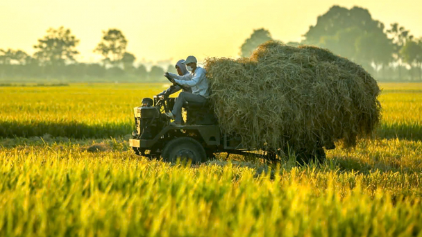 Hợp tác IAS-Rithy Group: [Bài 2] Hướng tới mô hình nông nghiệp xanh, bền vững