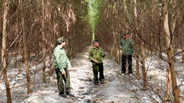 Tối ưu nguồn vốn, nâng cao hiệu quả kinh tế môi trường