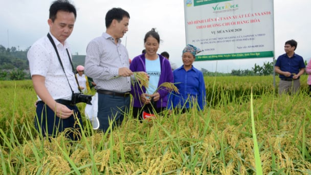 VAAS16 trên đường 'chinh phục' các tỉnh miền núi phía Bắc