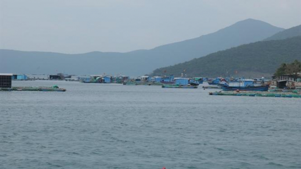 Tạm dừng quy hoạch tổng thể khu kinh tế đặc biệt Bắc Vân Phong